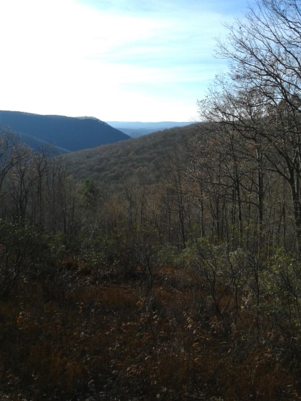 Photo: Square Timber Vista