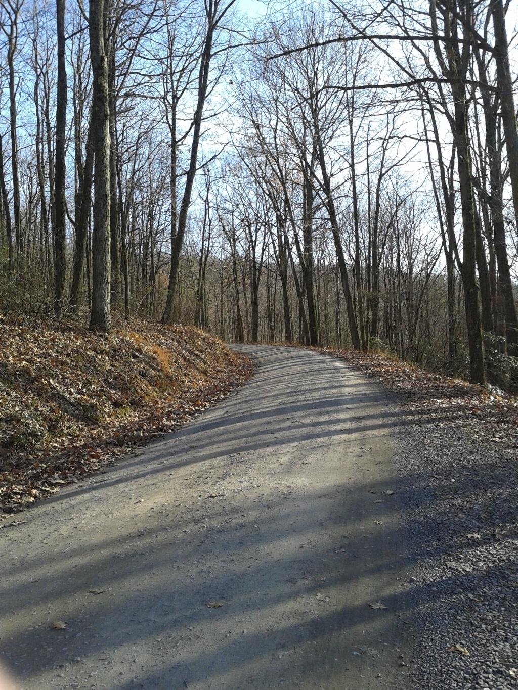 Photo: Narrow Ridge Road