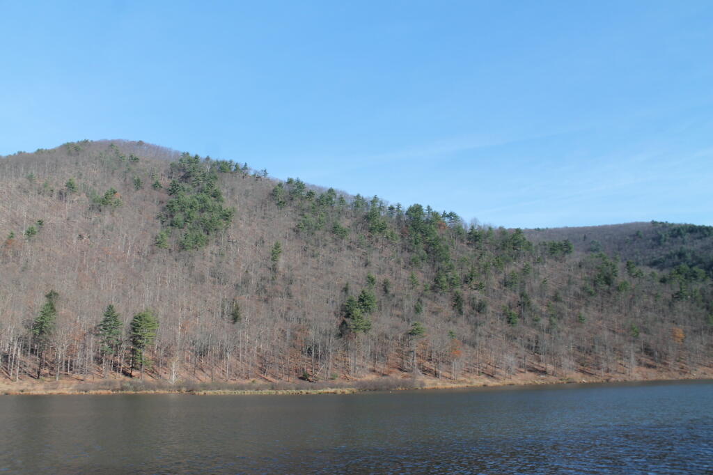 Photo: Hill Along the Reservior