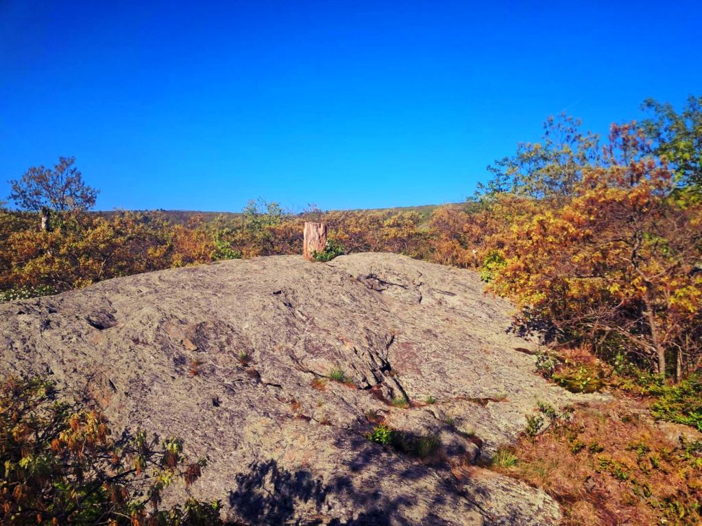 Photo: Rock Ledge