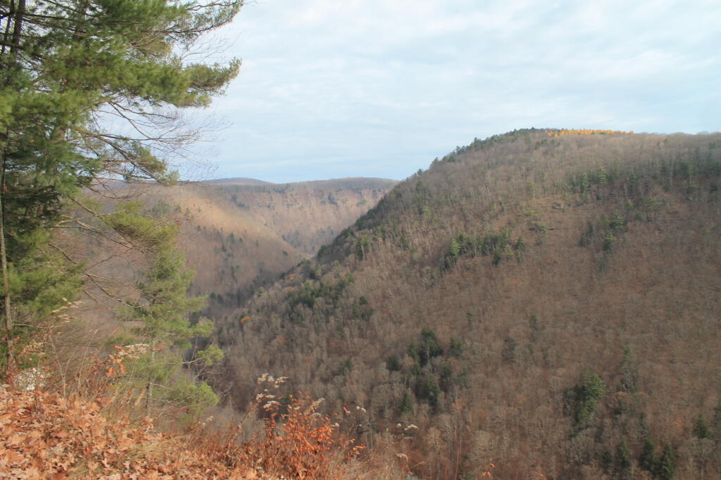 Photo: From Colton Point
