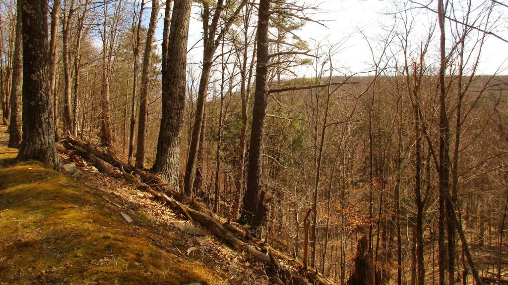 Photo: Across the Bozen Kill Gorge