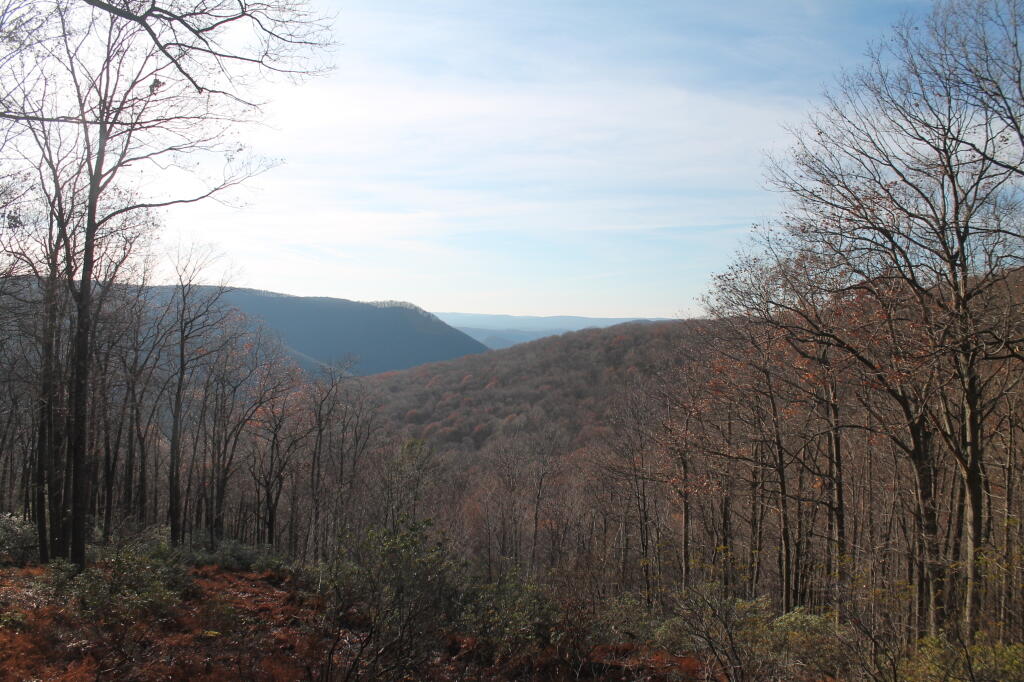 Photo: Square Timber Vista