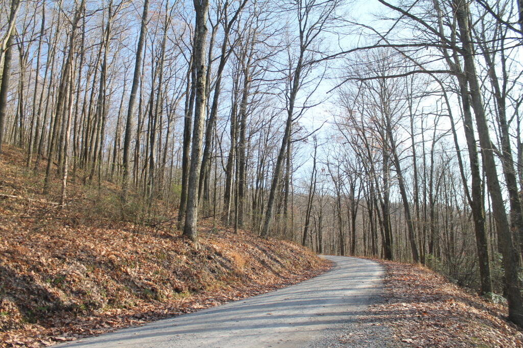 Photo: Narrow Road