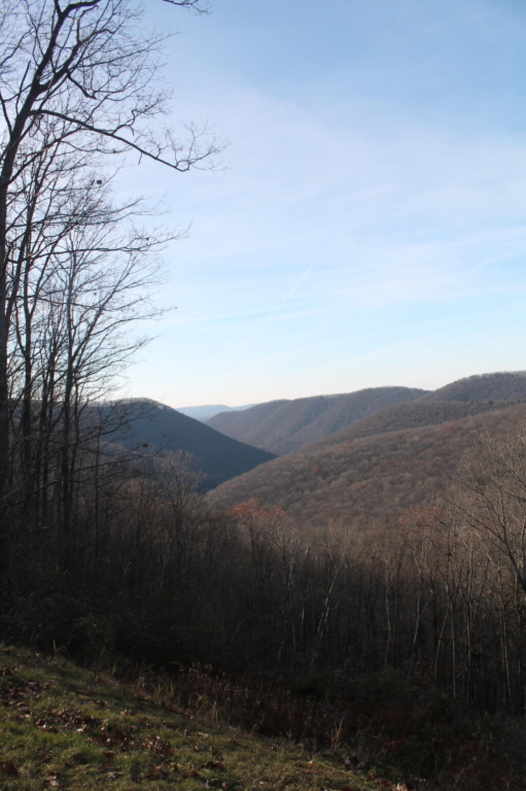 Photo: Different View Along Ridge Road