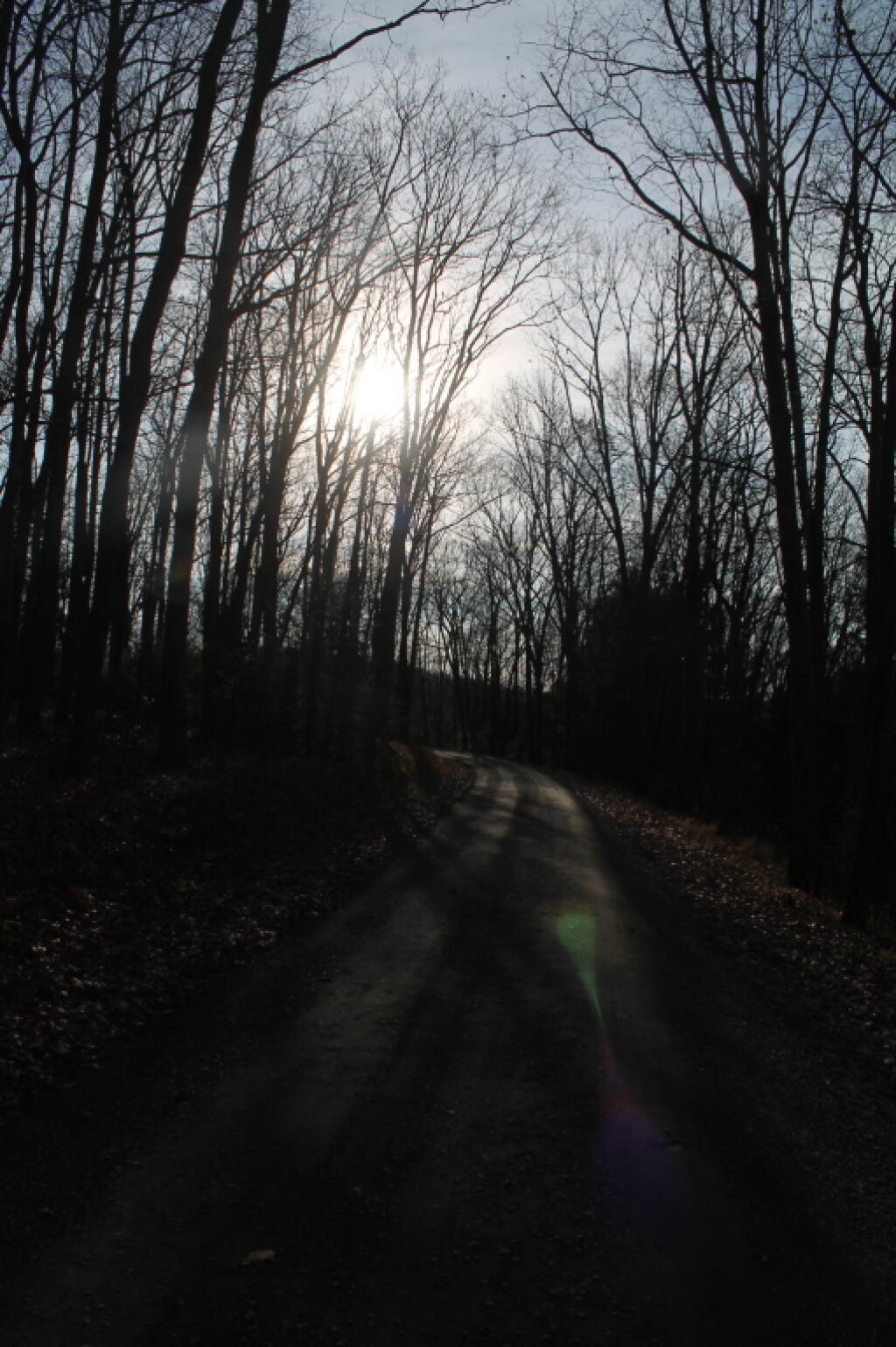 Photo: November Sun