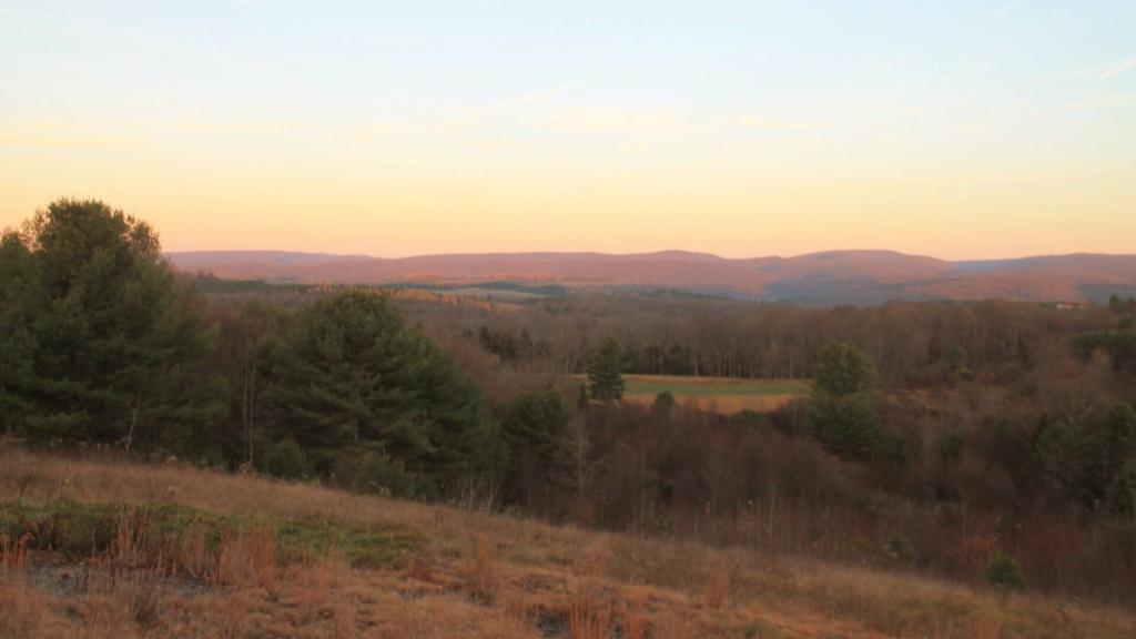 Photo: Morning at Winslow Hill Elk Viewing Area