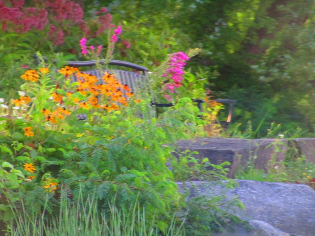 Photo: Along the Cayuga Canal