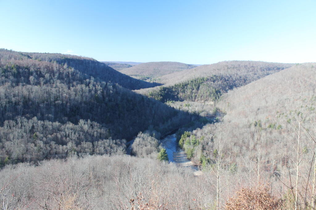 Photo: The Glen