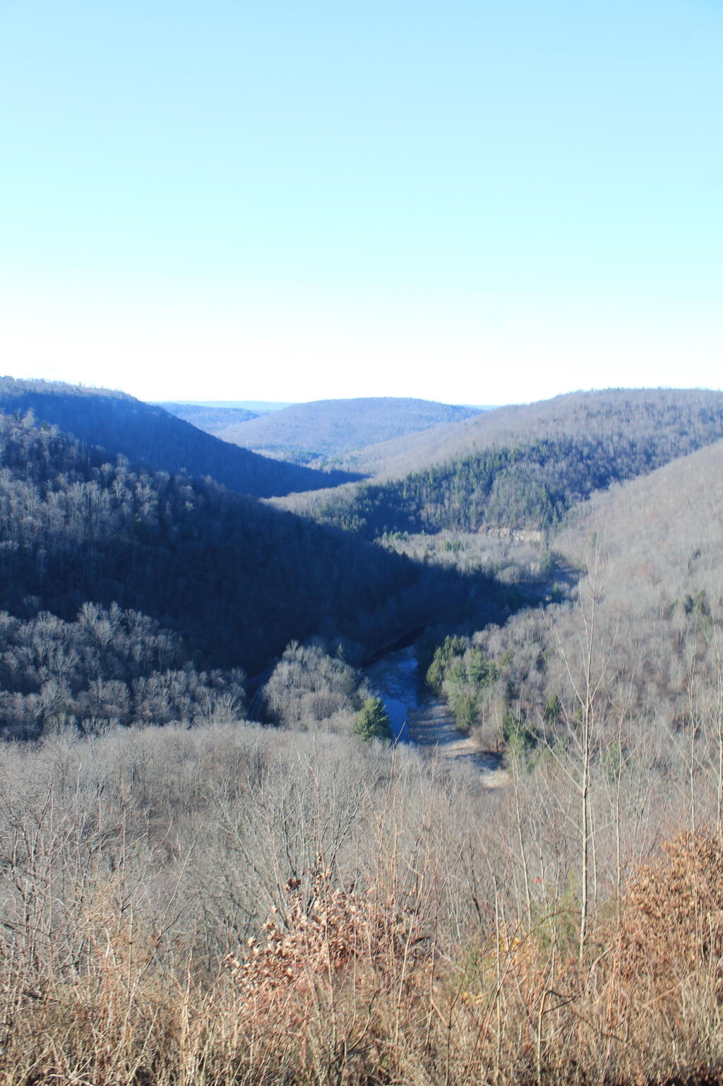 Photo: Northwest in the Glen