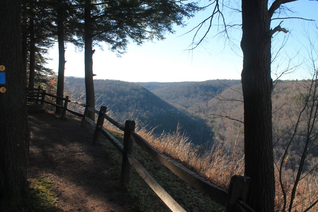 Photo: Along the Rim Trail