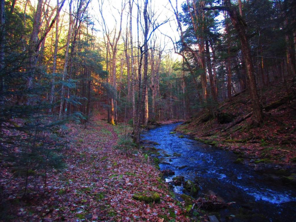 Photo: Cole Brook