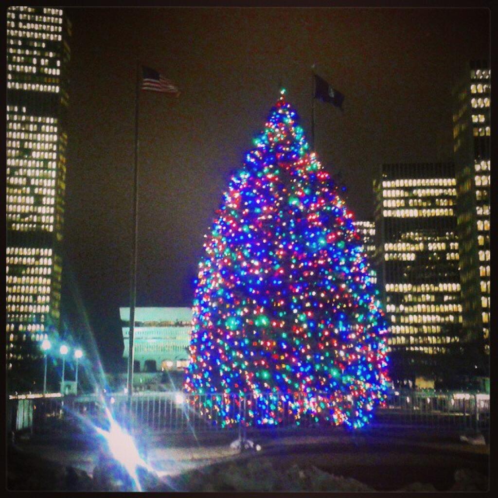 Photo: A Second Try At The State Tree