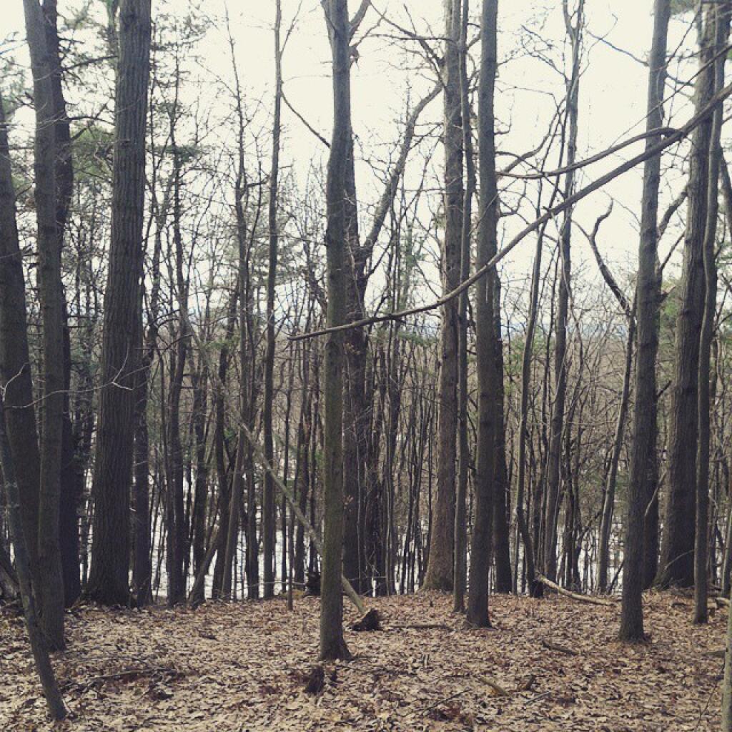 Photo: From The Top Of The Dune