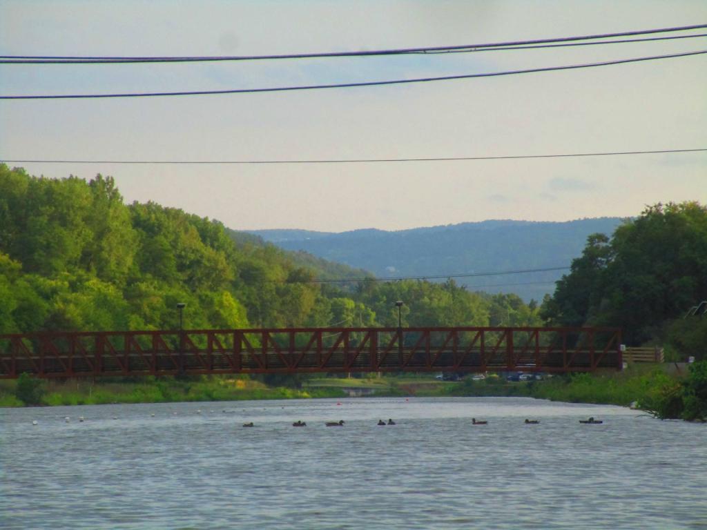 Photo: Pedestrian Bridge