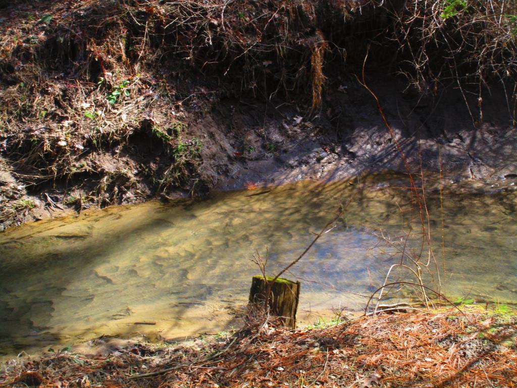 Photo: Creek