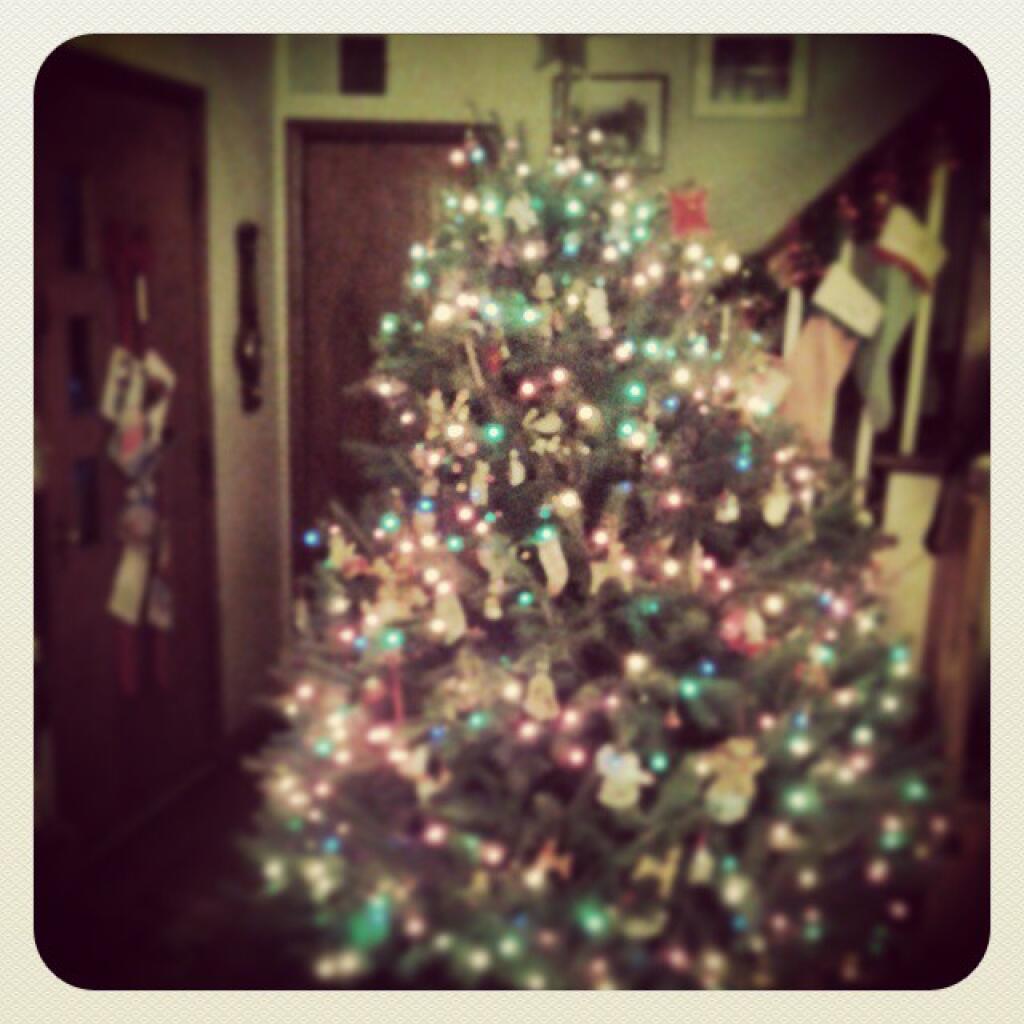 Photo: Christmas
