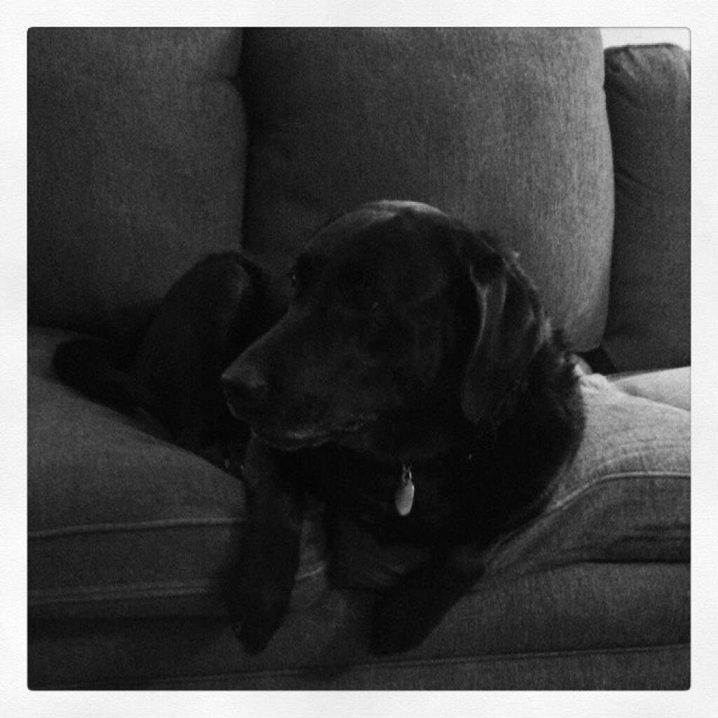 Photo: Abbie