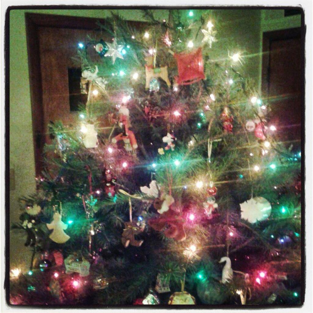 Photo: Oh, Christmas Tree
