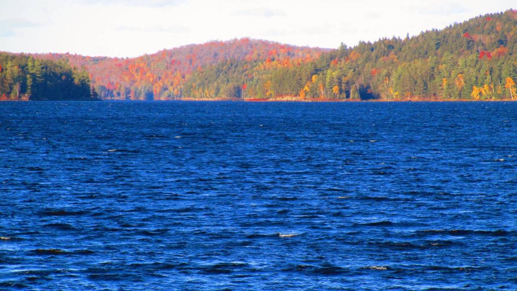 Photo: Choppy Day on Tupper Lake