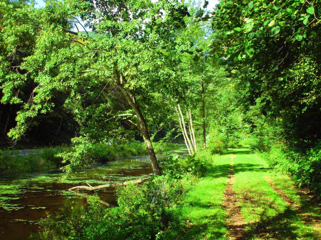 Photo: Along the Upper East Branch