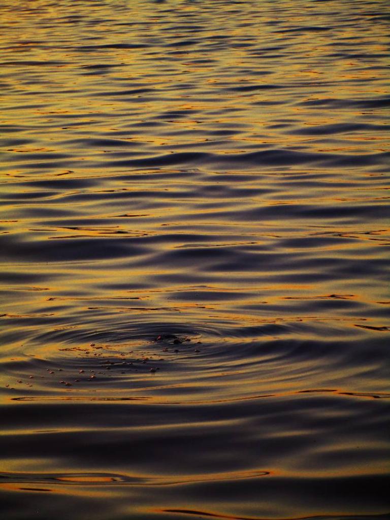 Photo: Cayuga Lake Waves