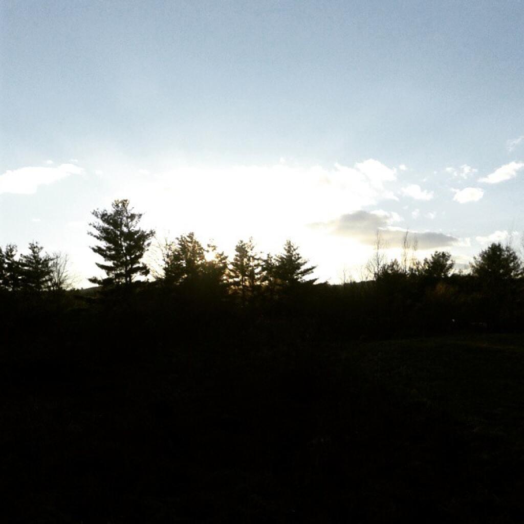 Photo: Last Afternoon of 2014