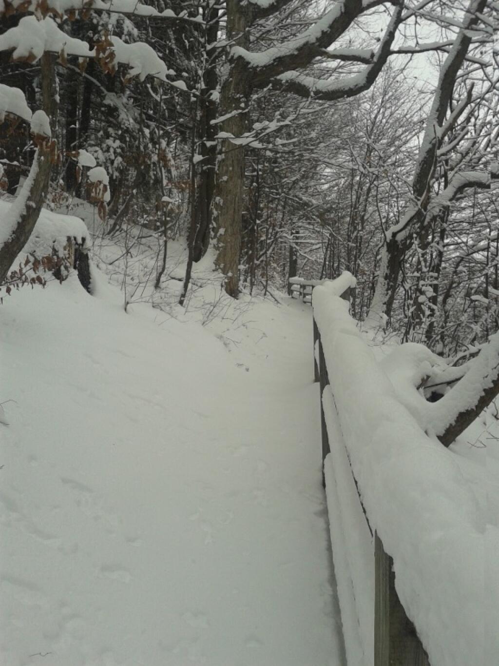 Photo: Deep Snow Along the Escarpment