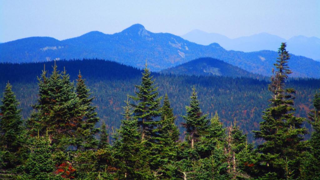 Photo: Snowy Mountain