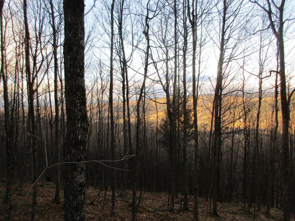 Photo: Switz Kill Valley