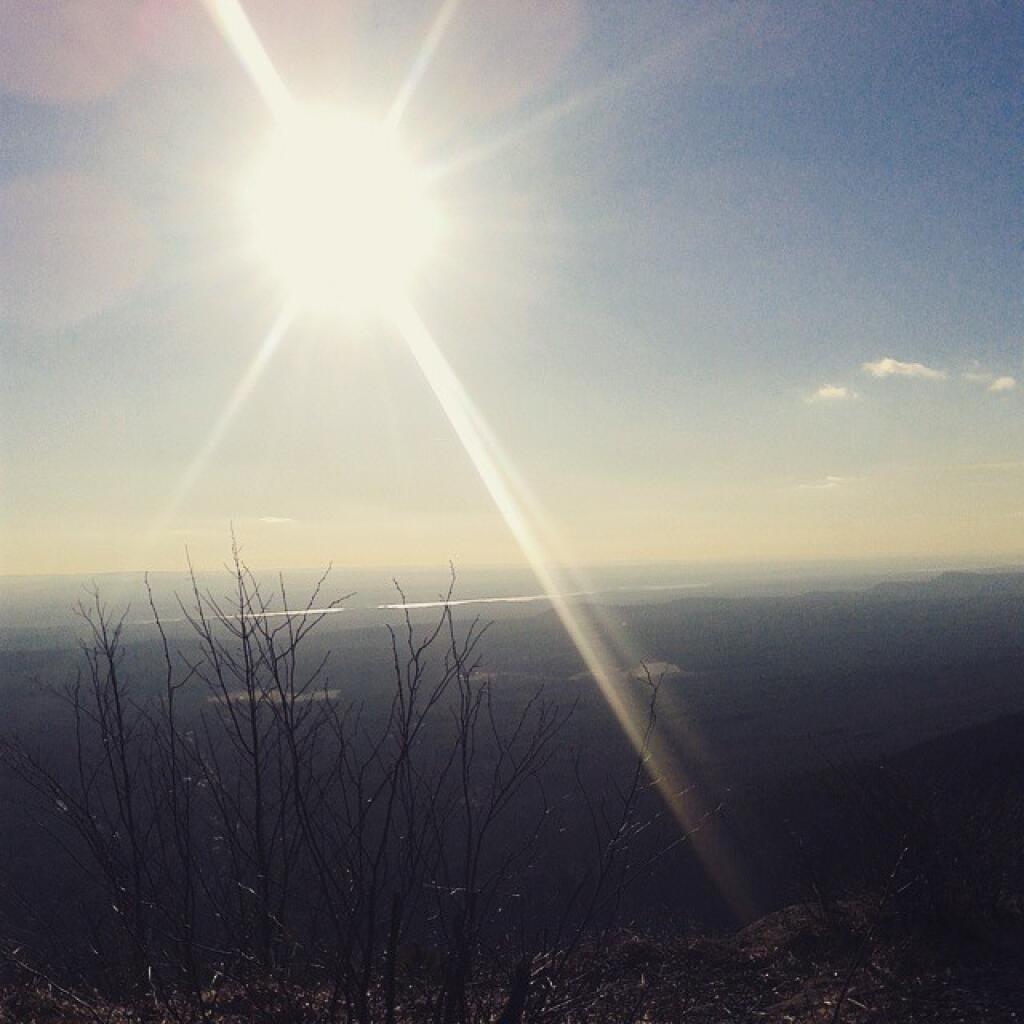 Photo: The sun is nice but right in my eyes.