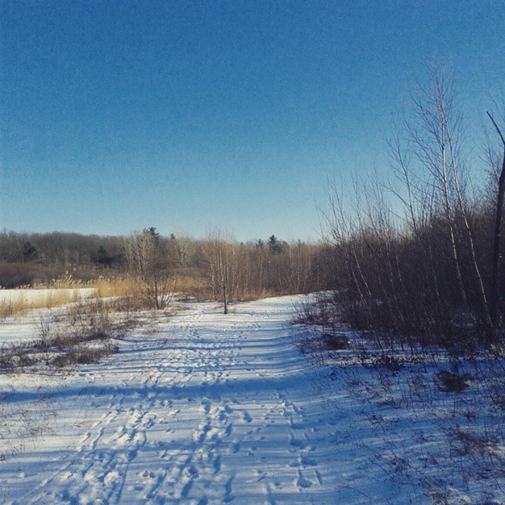 Photo: Chilly day for sure