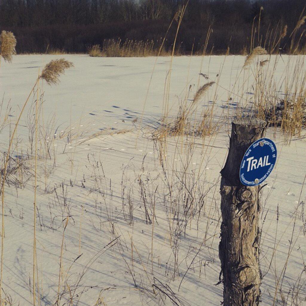 Photo: Trail
