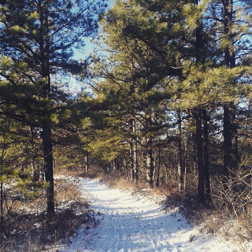 Photo: Overlook Trail