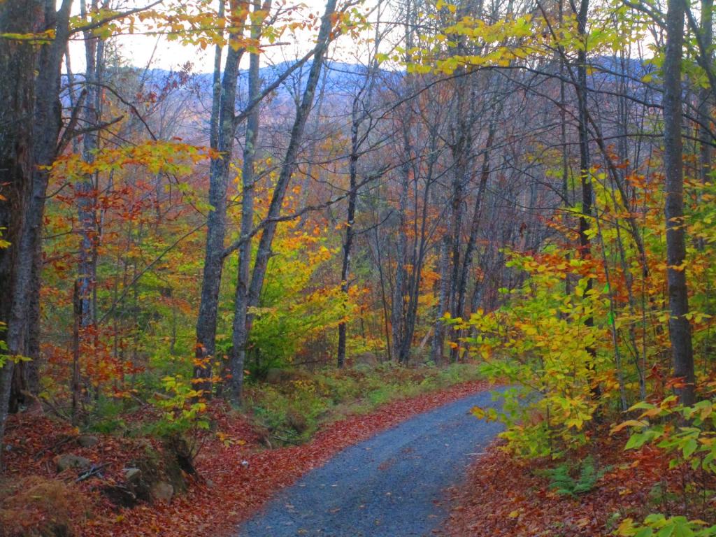 Photo: Old Military Road