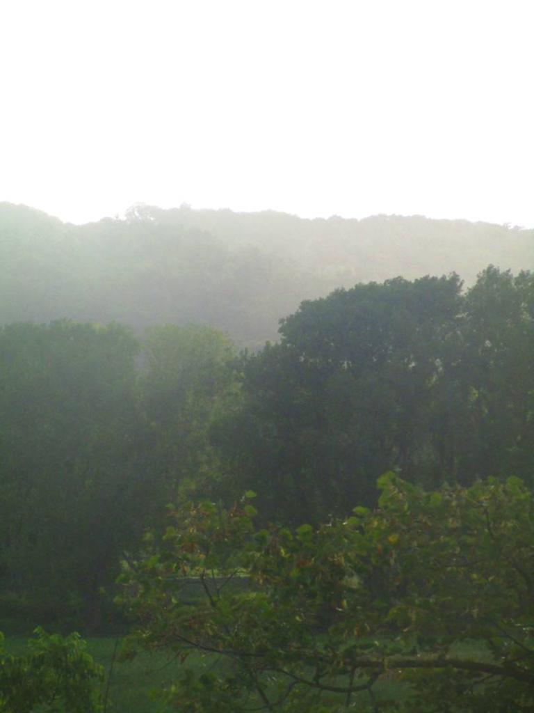 Photo: Rain showers
