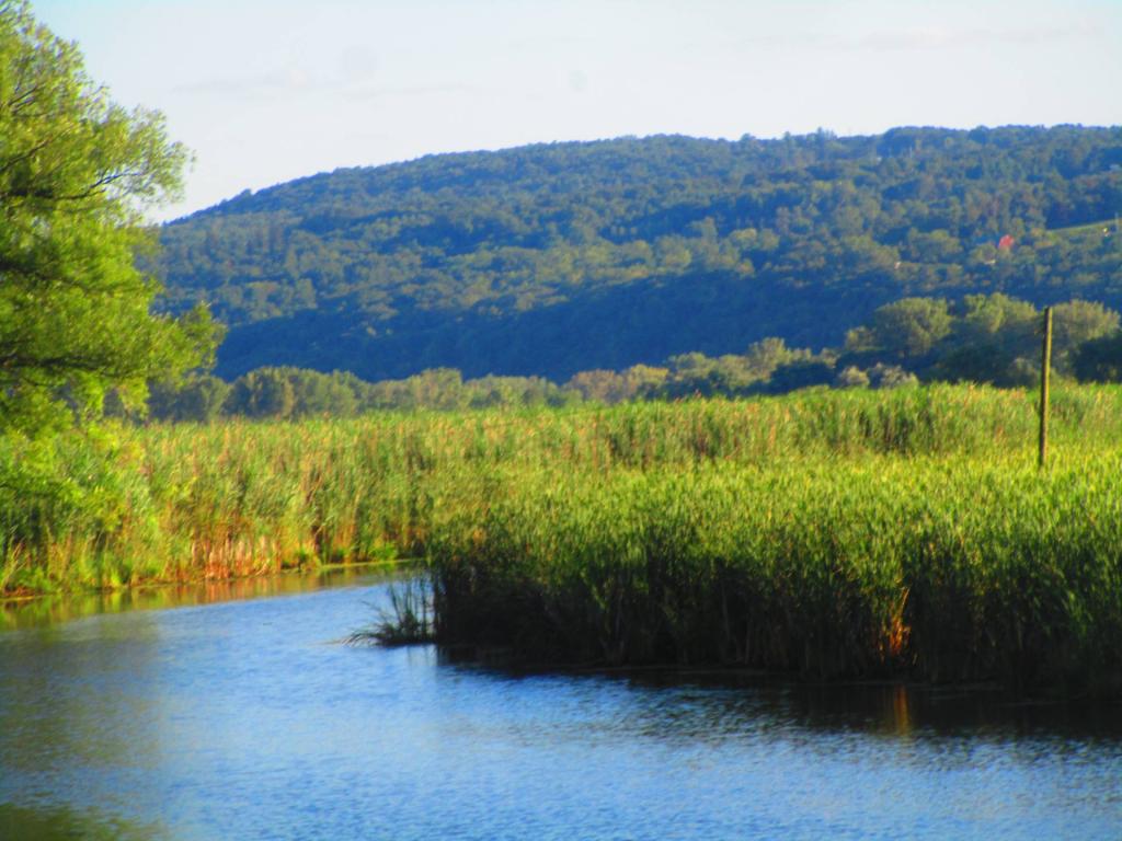 Photo: Catharine Creek
