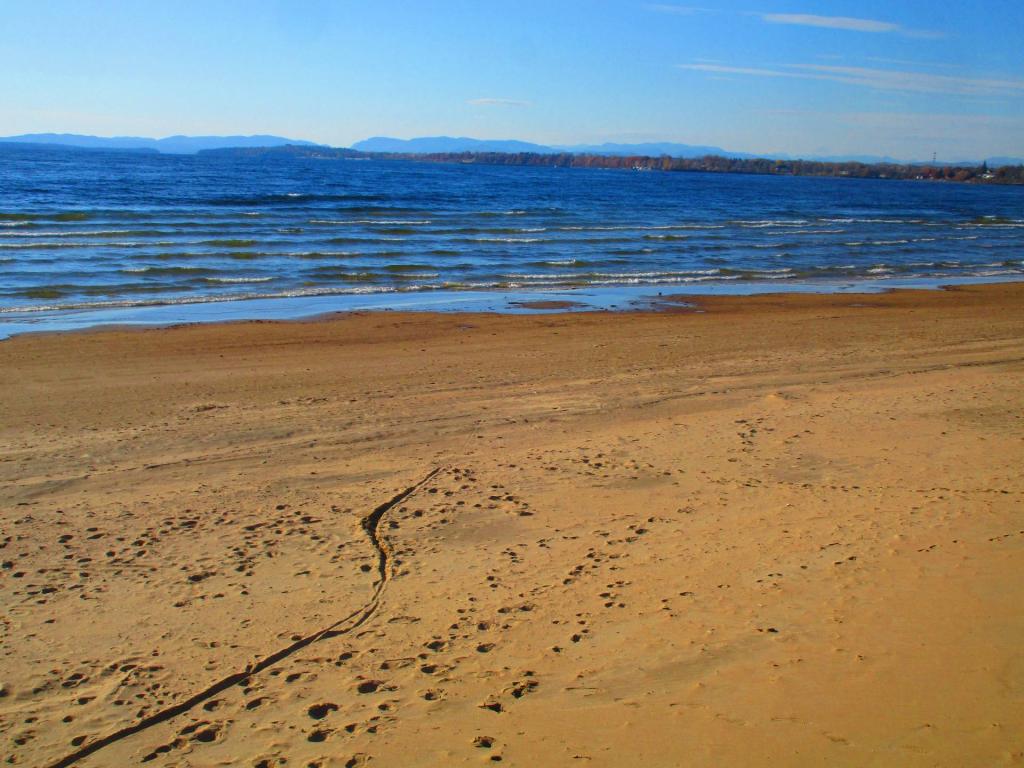 Photo: Ruts