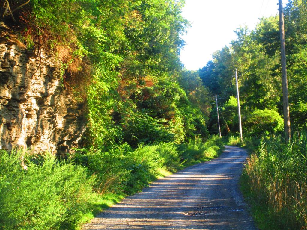 Photo: Rock Cabin Road