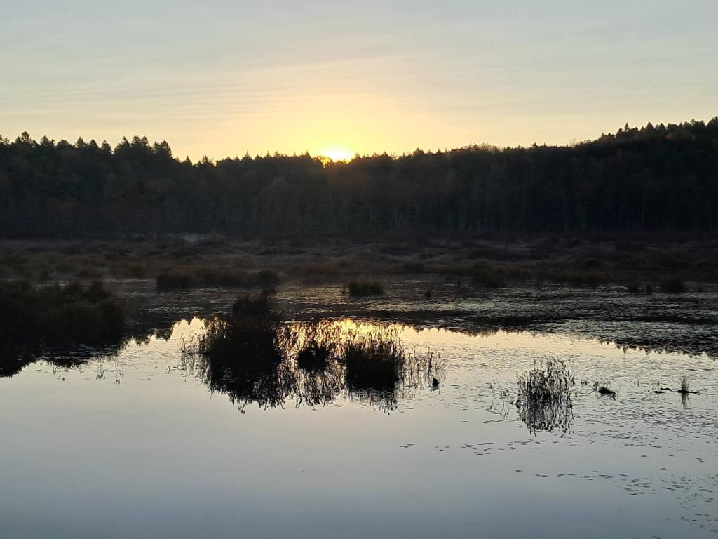 Photo: Morning at Lost Pond