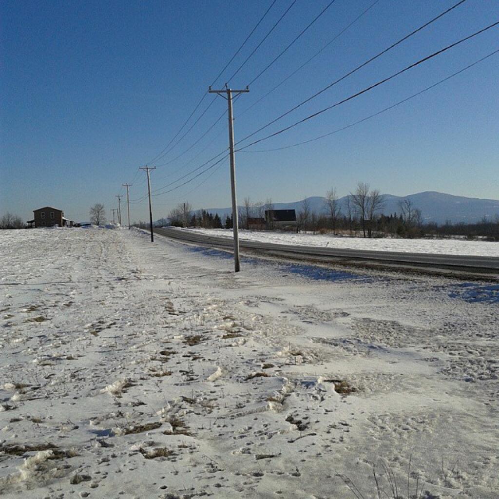 Photo: Telephone Lines