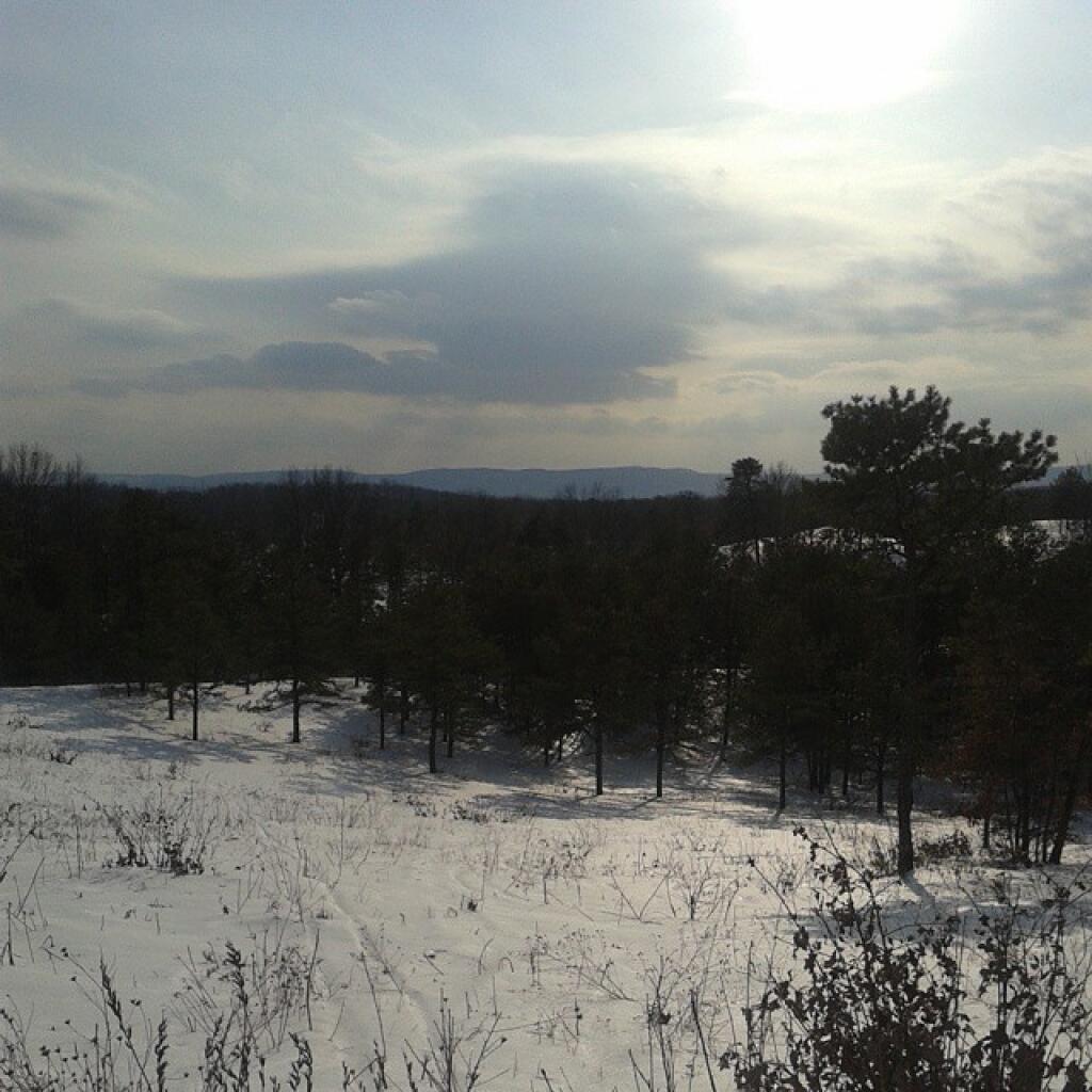 Photo: From Overlook Dune