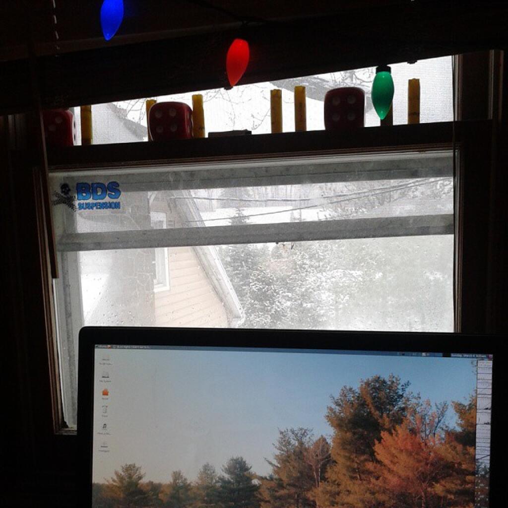 Photo: Still winter out there