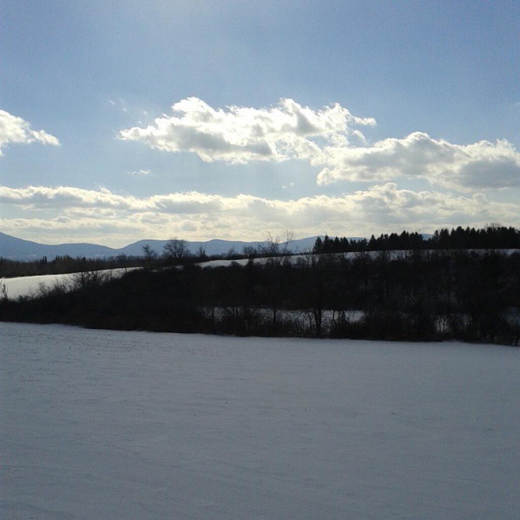 Photo: Towards the pond