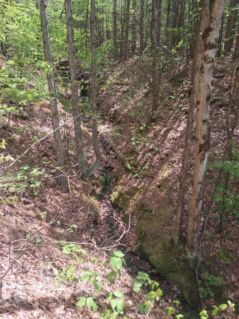 Photo: Ravine [Expires May 31 2026]