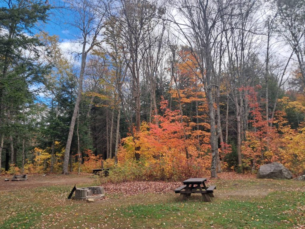 Photo: Autumn exploring Moffit Beach Campground! Photo: Autumn exploring Moffit Beach Campground!