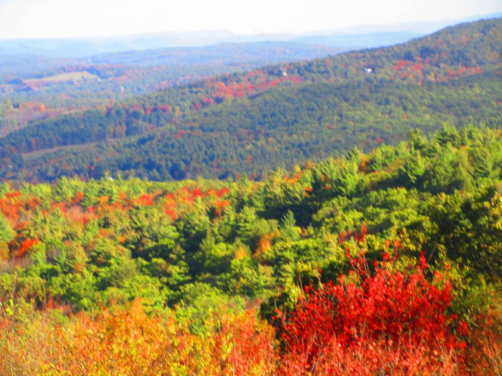 Photo: Hills