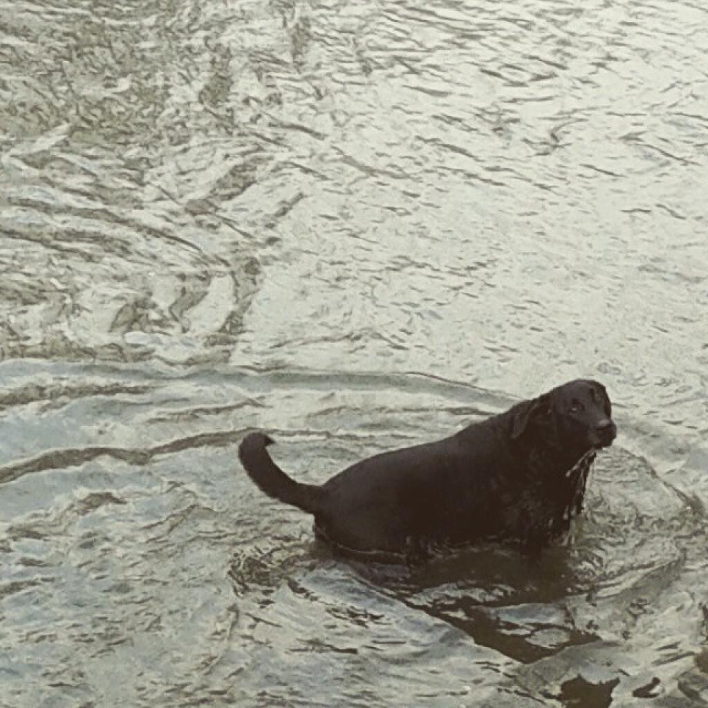 Photo: Swim