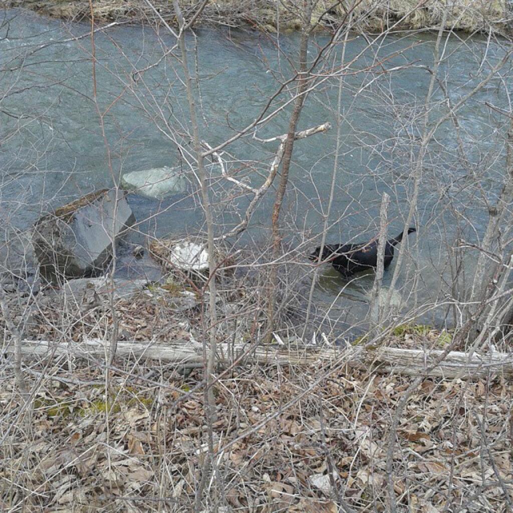 Photo: In the drink, round 2