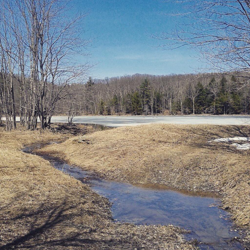 Photo: Thin skim of ice on the deeper ponds